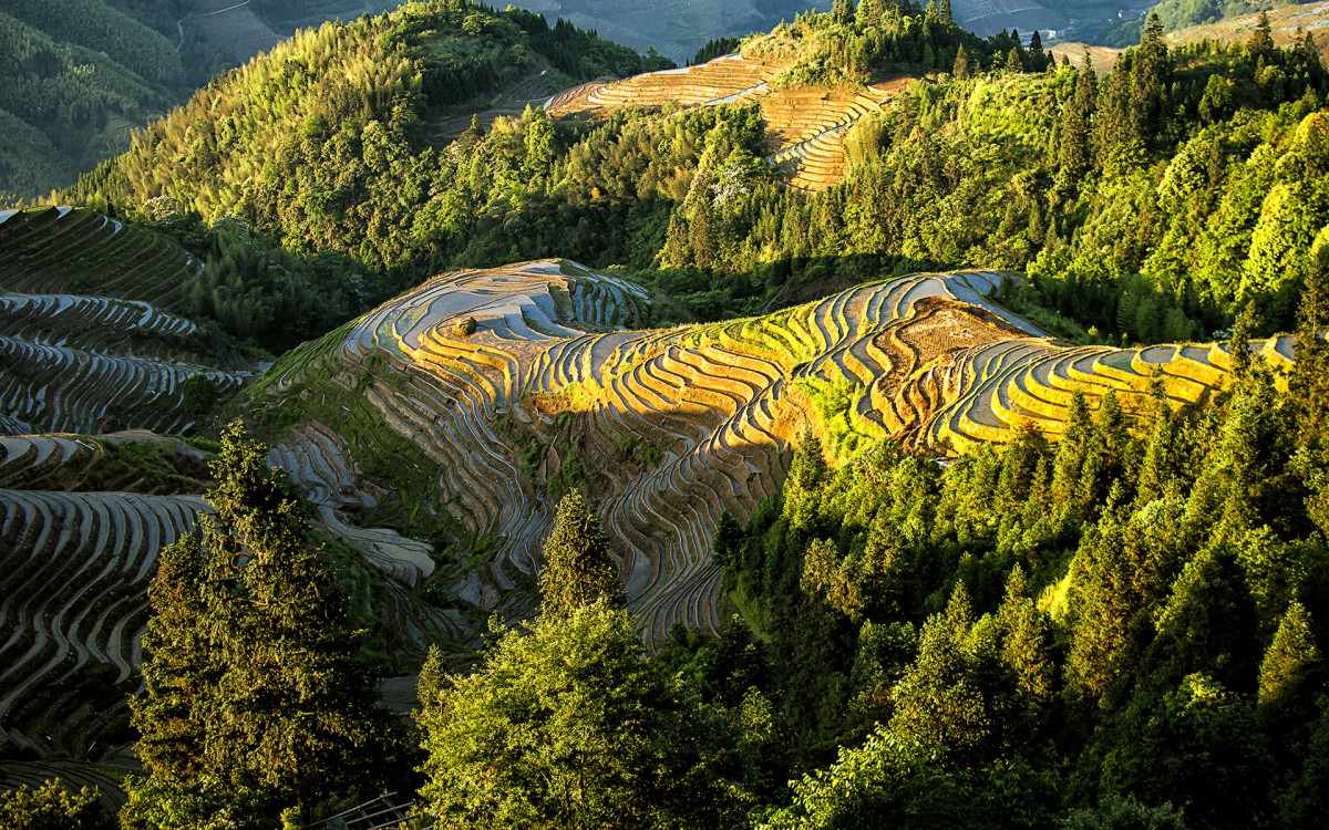 广西龙脊梯田风景图片-风景壁纸-高清风景图片-第2图-娟娟壁纸