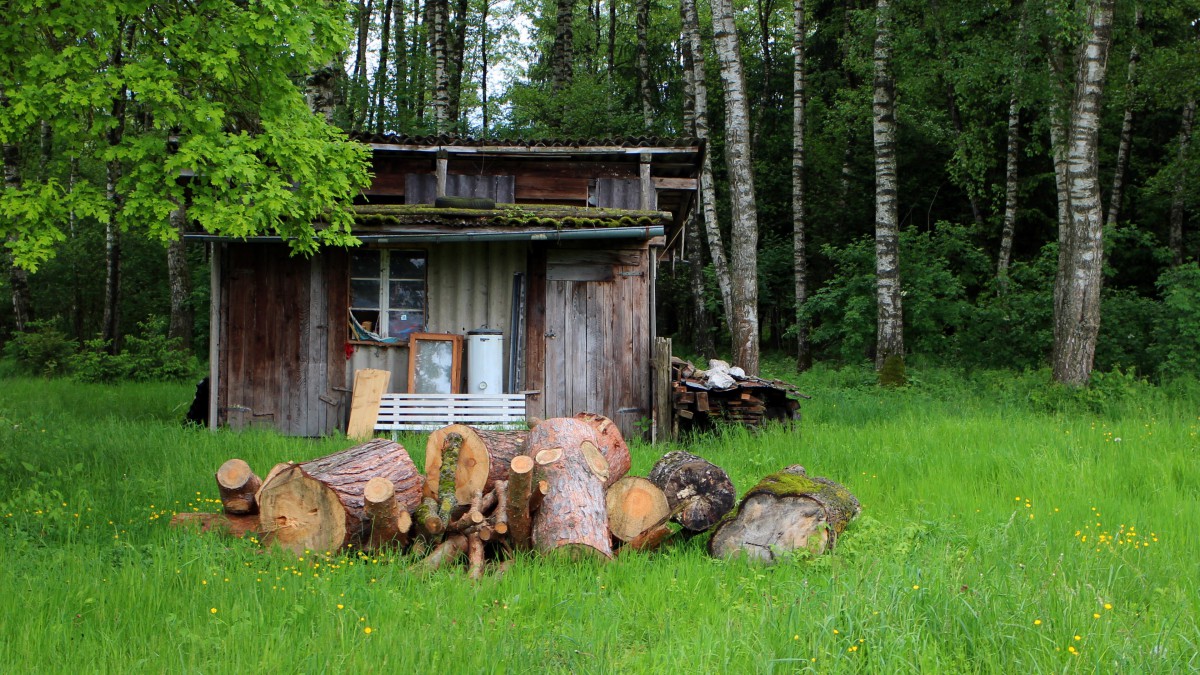 森林里寂静的小木屋风景图片1215