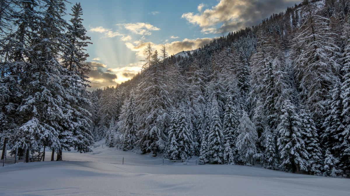 瑞士雪景高清图片-风景壁纸-高清风景图片-第7图-娟娟壁纸