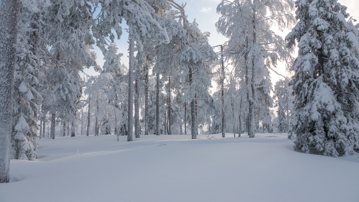 高清冬季雪景图片-风景壁纸-高清风景图片-第12图