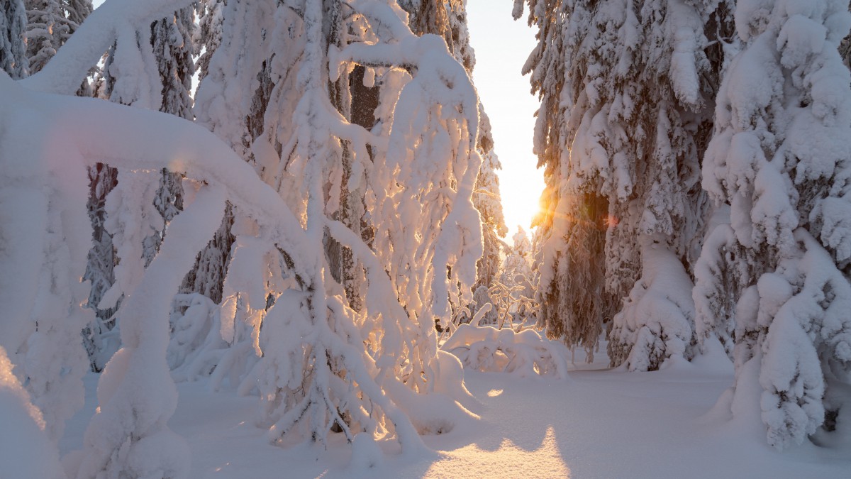 高清冬季雪景图片-风景壁纸-高清风景图片-第3图-娟娟壁纸