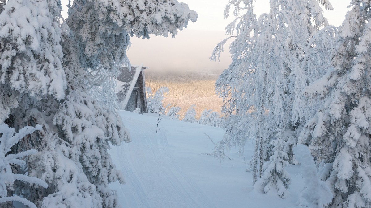 高清冬季雪景图片-风景壁纸-高清风景图片-第7图-娟娟壁纸