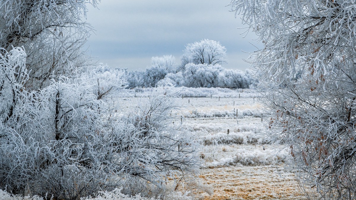 冬天的雪景图片大全-风景壁纸-高清风景图片-第6图-娟娟壁纸