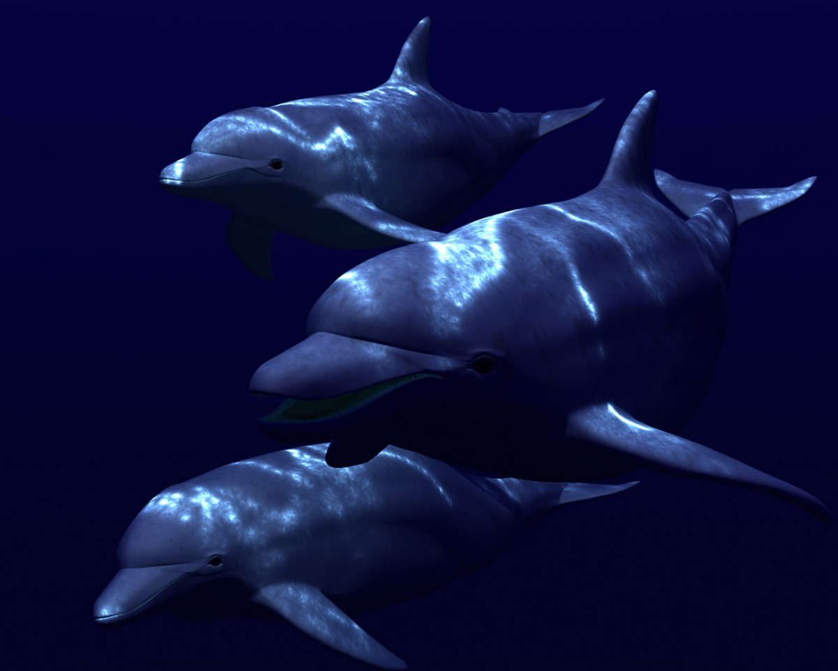 1280��� ������