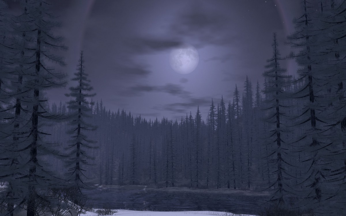 Digital��ά ���ļ�
