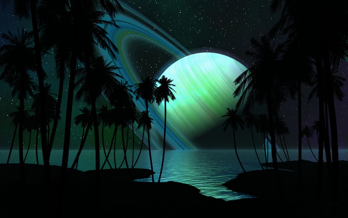 Digital��ά ���弭