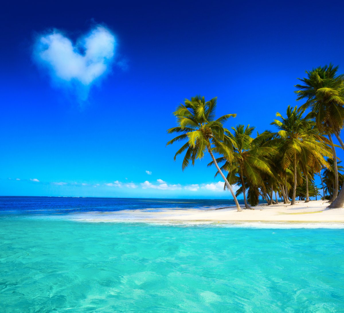 蓝天大海沙滩海岸蓝色翡翠海洋棕榈树6k风景图片
