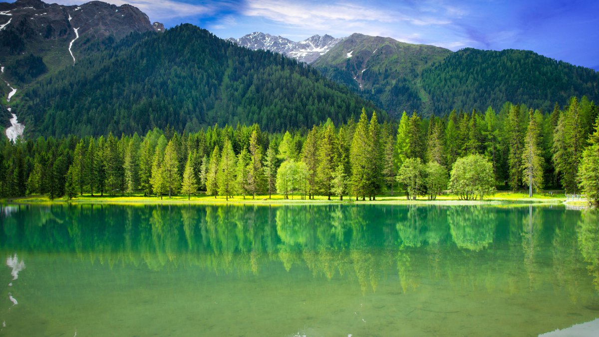 青山绿水绿色树木树林森林湖泊湖水流水大自然4k风景图片