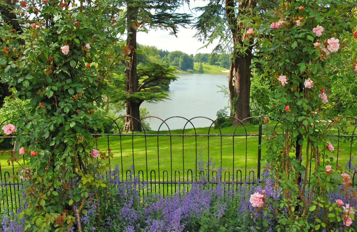 牛津郡花园 树木 玫瑰花 篱笆 绿色草地 河流风景图片图片