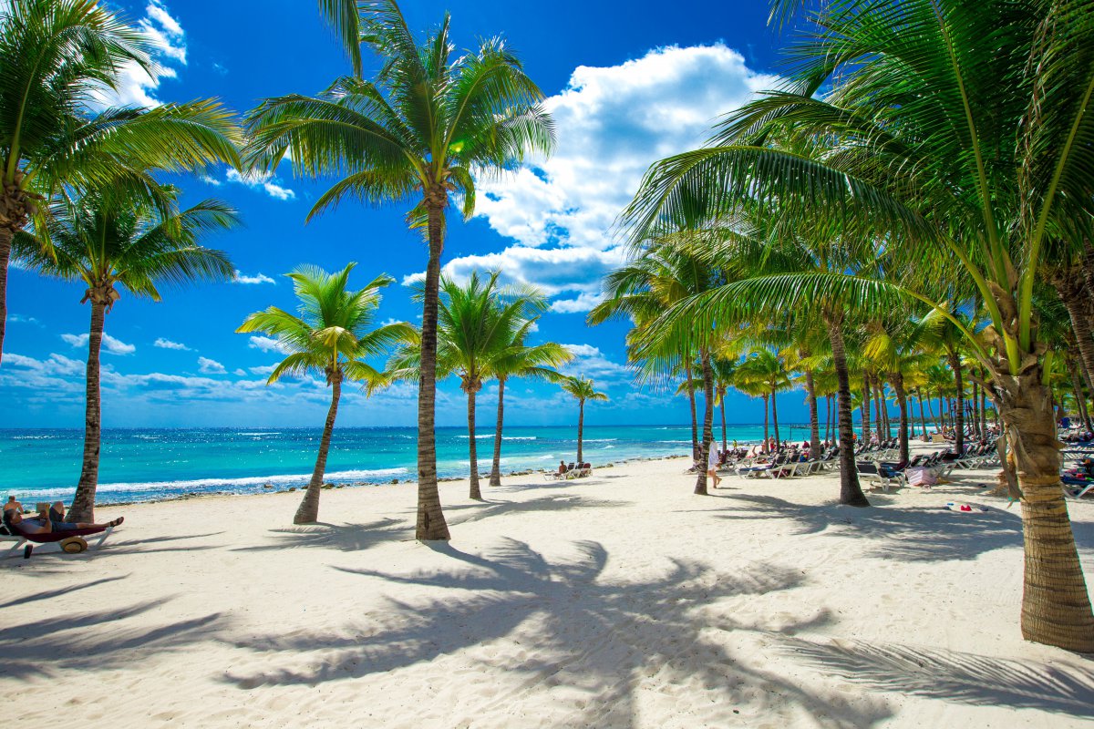 热带沙滩海岸海水天空云阳光棕榈树风景图片图片