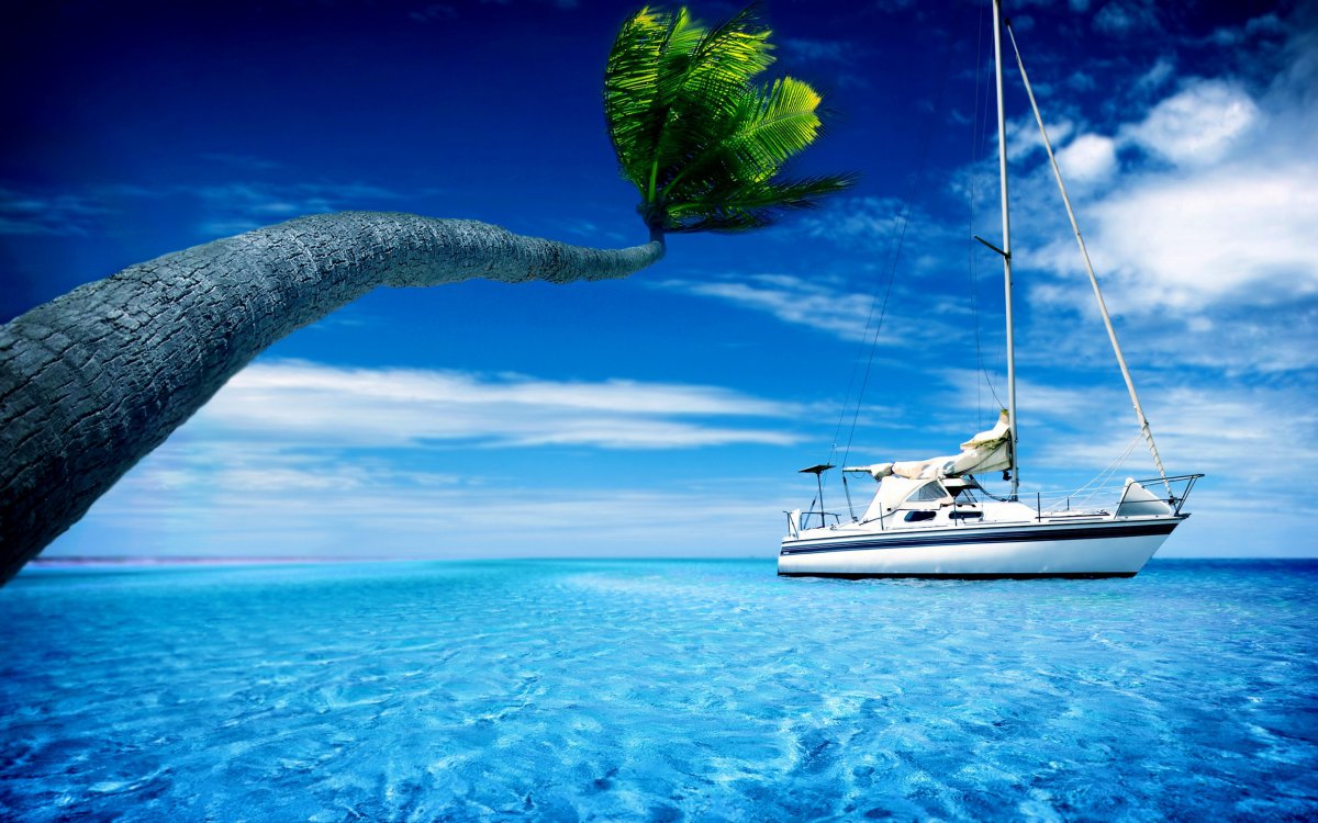 蓝色大海上的游艇与棕榈树图片