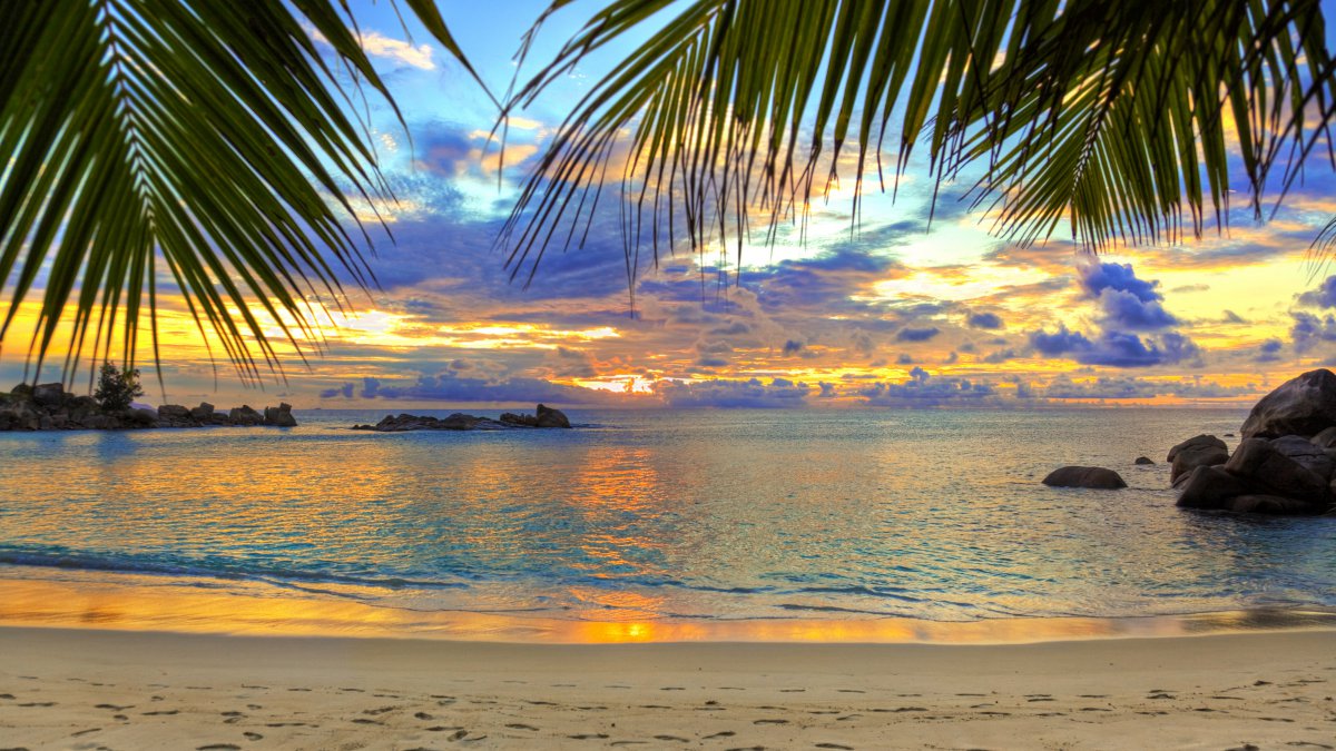 热带海滩棕榈树天空风景图片,4k高清风景图片,娟娟壁纸