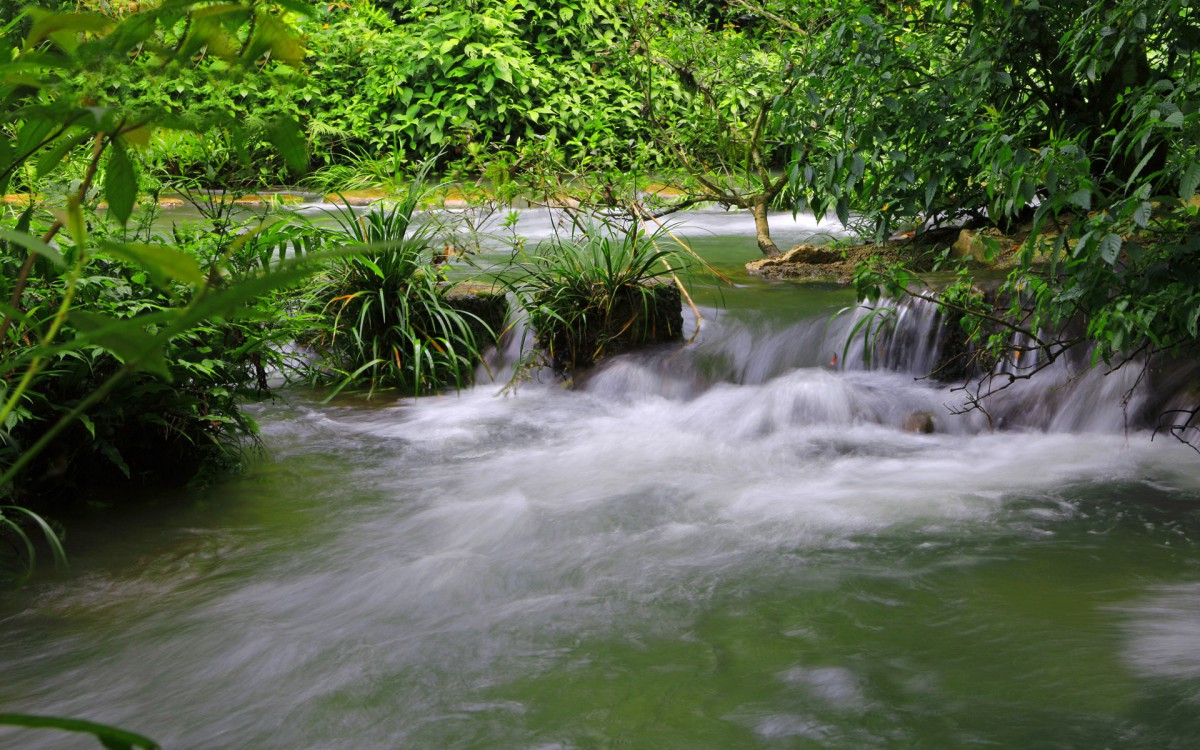 水上森林溪流美景-风景壁纸-高清风景图片-第5图-娟娟壁纸