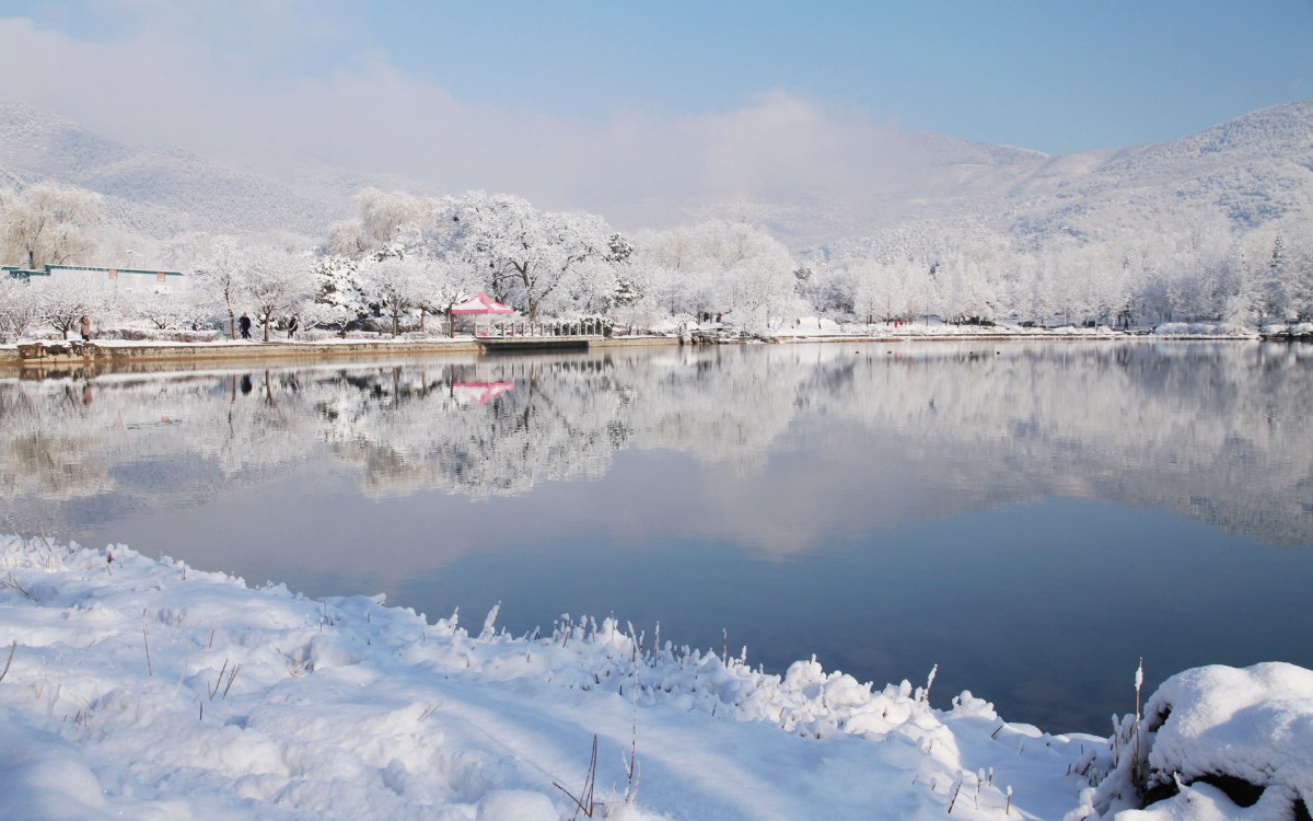 北京植物园雪景图片壁纸111