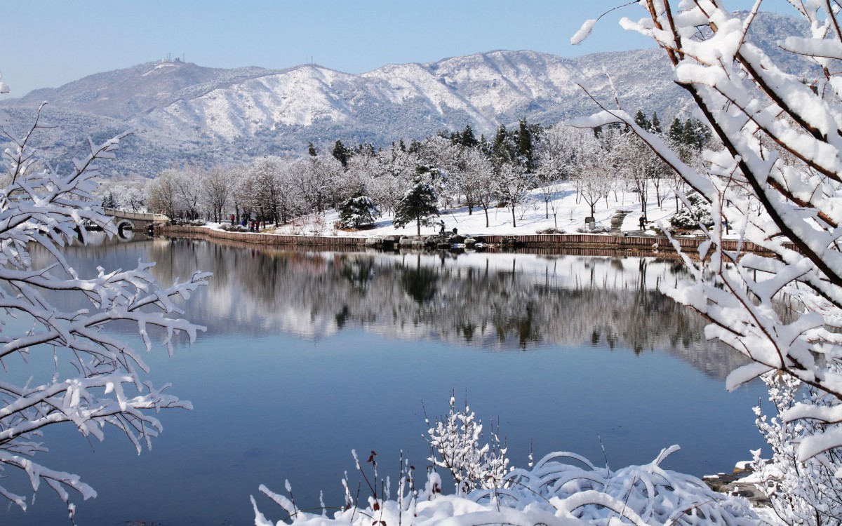 北京植物园雪景图片壁纸511