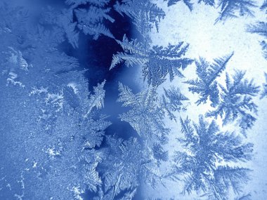 高清冬天雪花图片