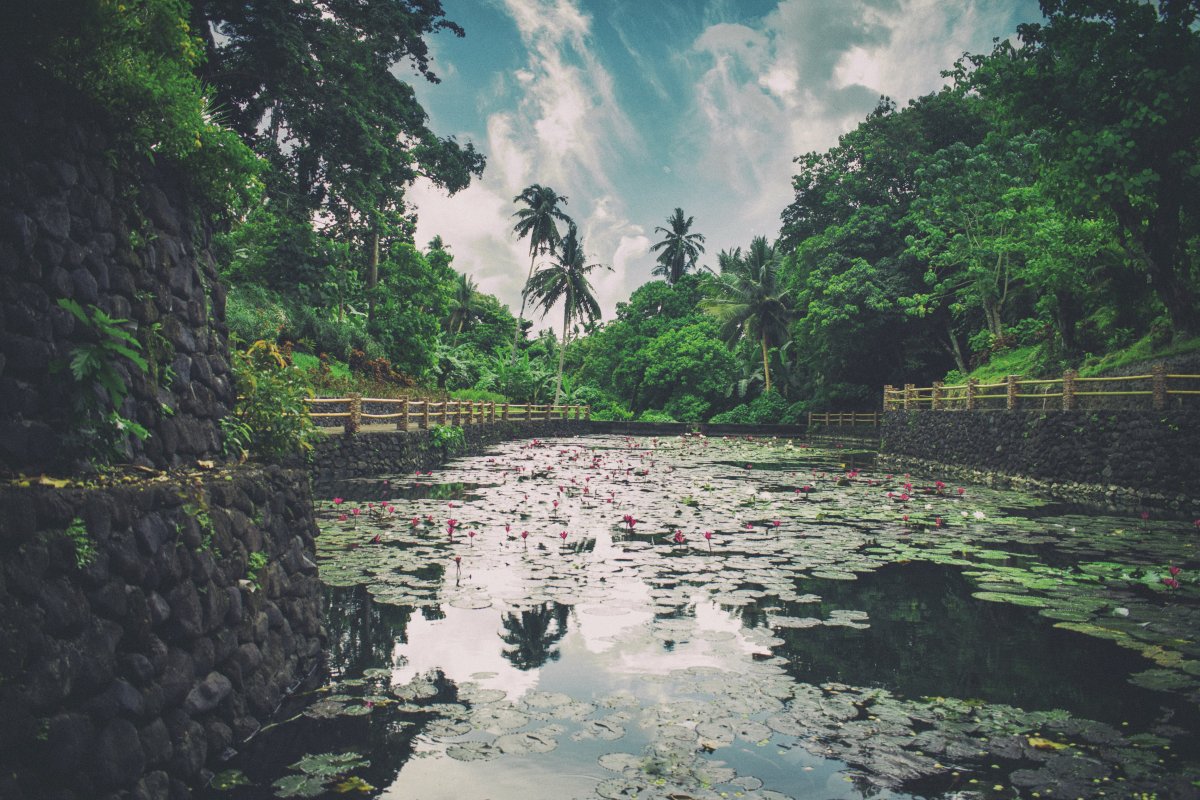 春天花草山水风景图片