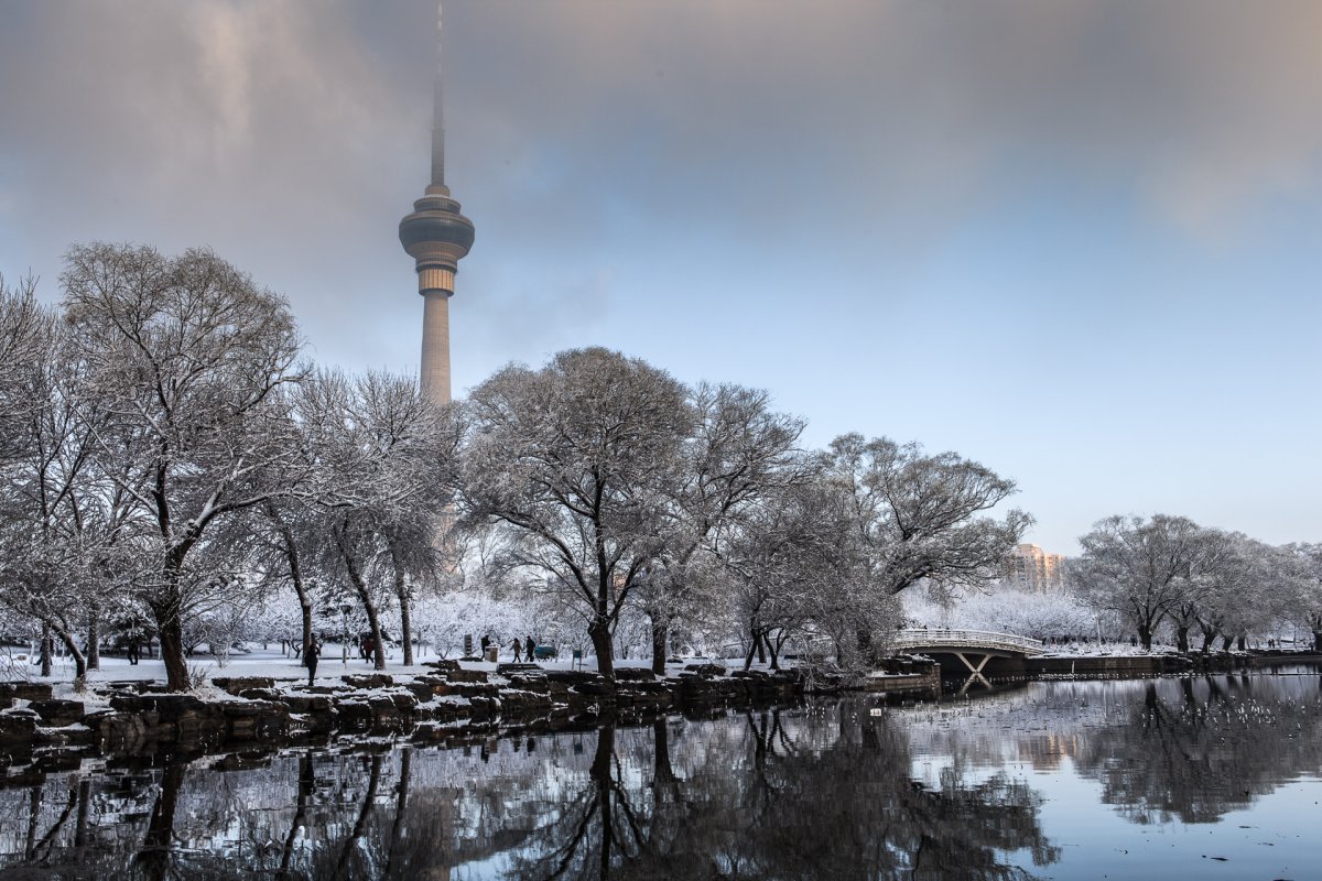 北京玉渊潭雪景图片