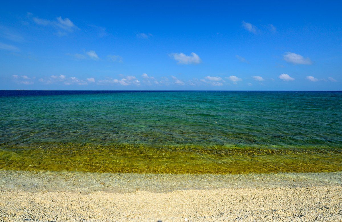 海南西沙鸭公岛风景图片