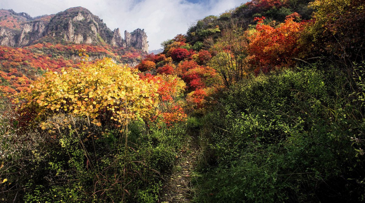 山西太行山风景图片