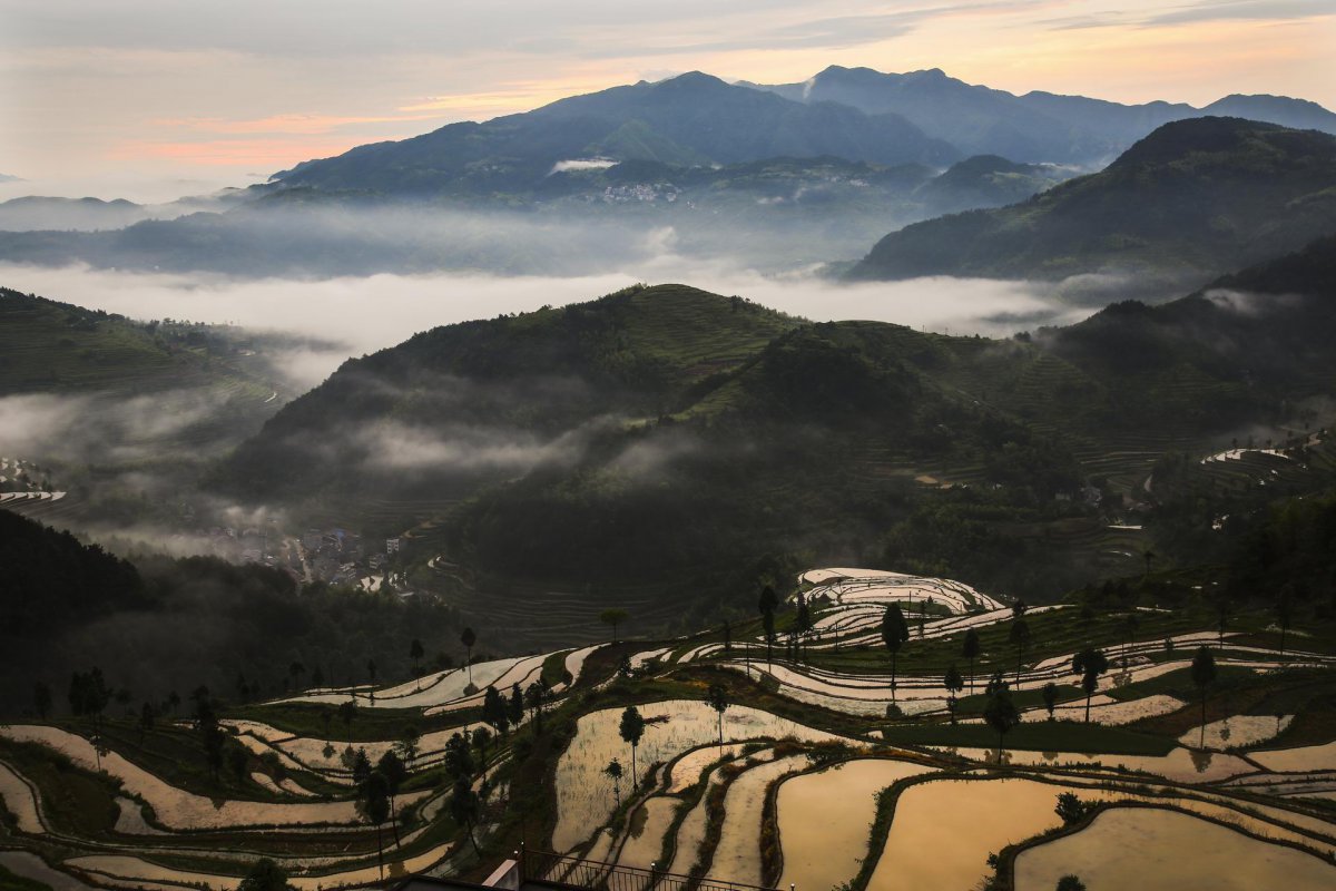 浙江茗岙乡风景图片