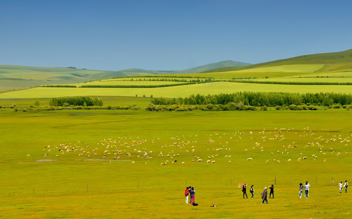 内蒙古科尔沁草原风景图片