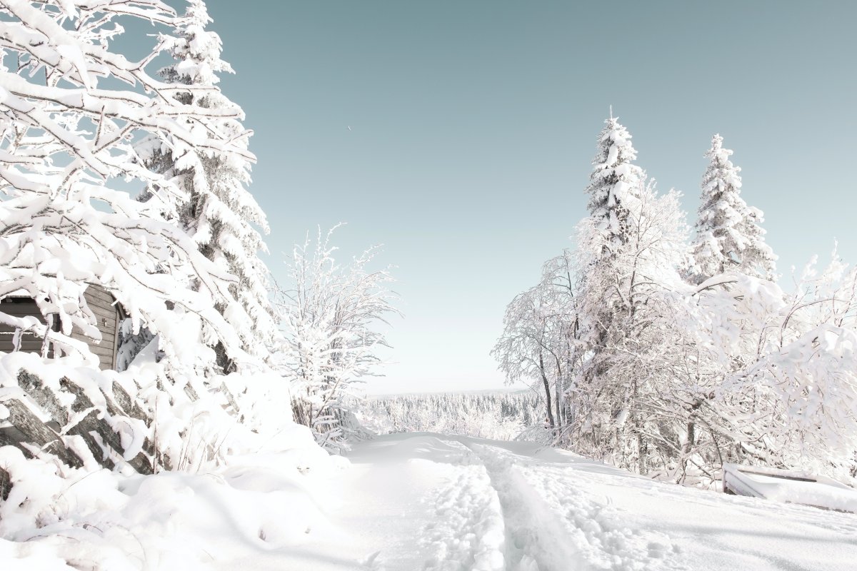 银装素裹冬季雪景图片,高清图片