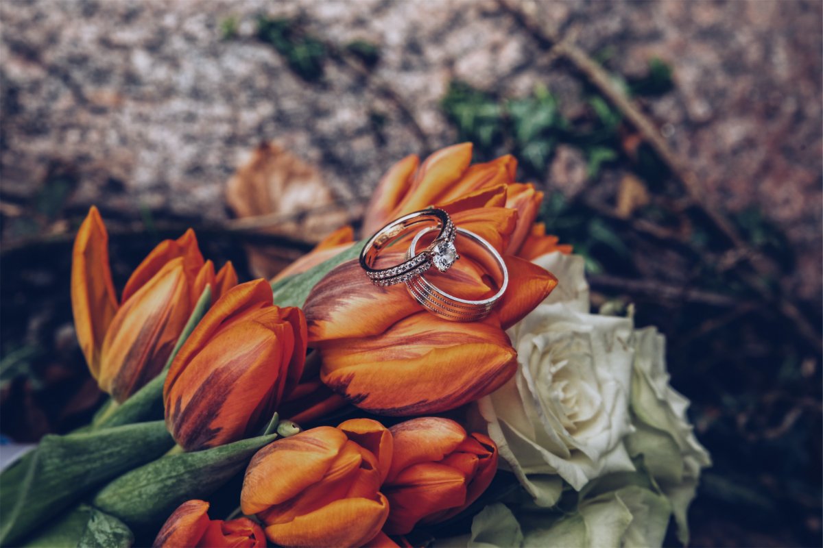 美丽鲜花上的结婚戒指图片
