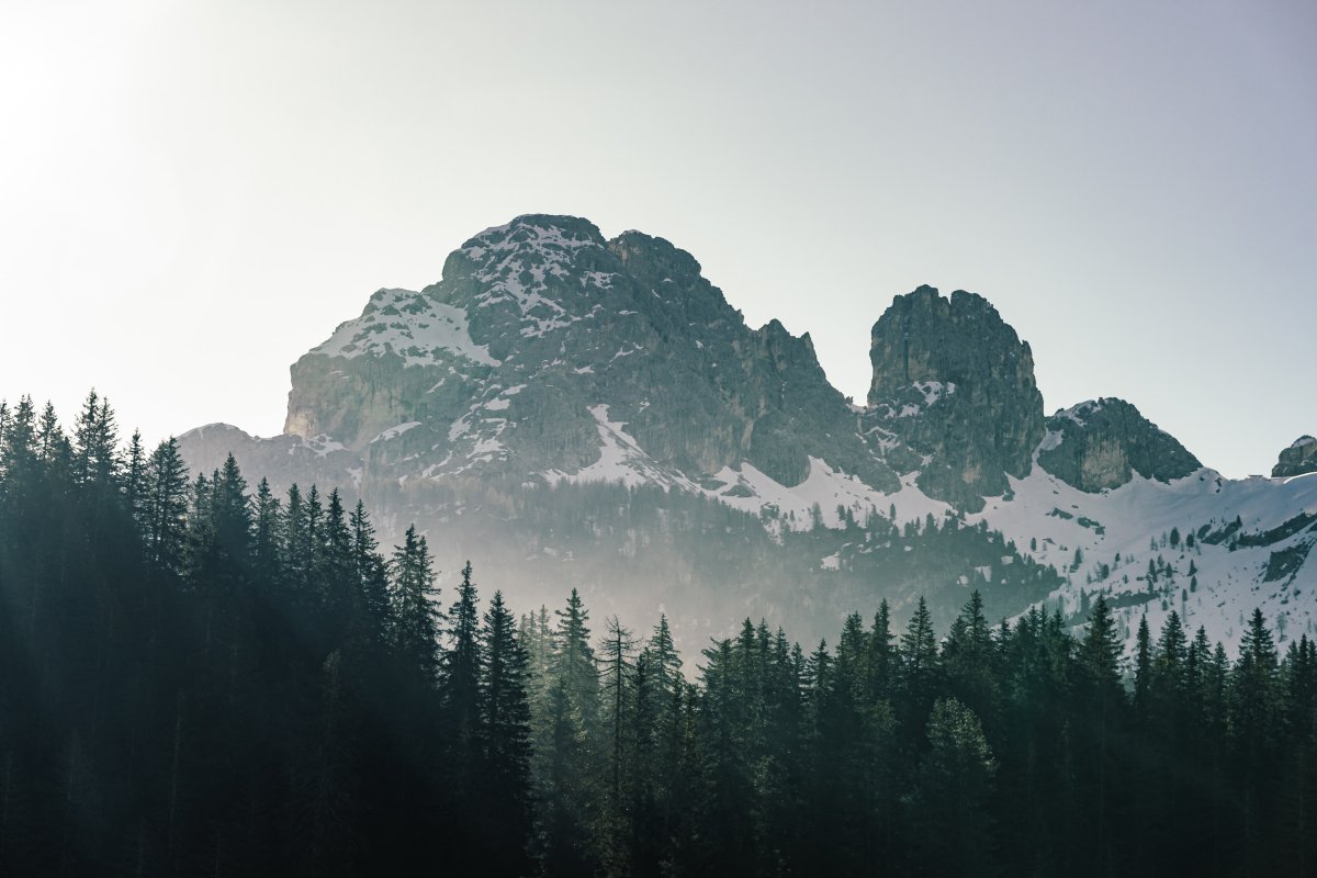 巍峨雪山树林图片