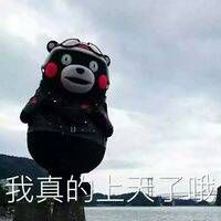 熊本熊qq头像搞笑带字的图片