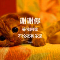 谢谢你文字头像