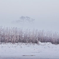 冬天雪景温暖阳光唯美头像