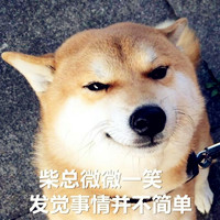 呆萌柴犬可爱头像