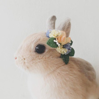 可爱卖萌小兔子头像