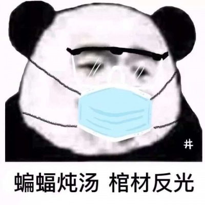 口罩熊猫头表情包头像