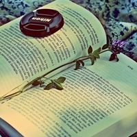 书本头像唯美图片,微信头像图片