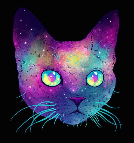 猫咪霸气图片头像