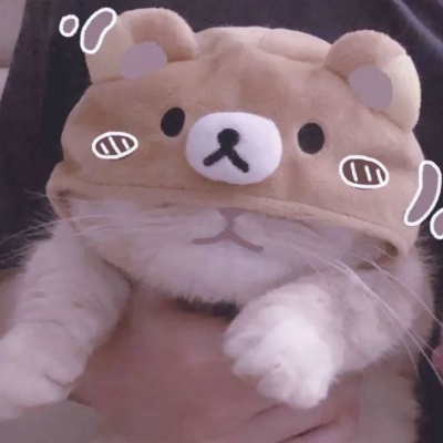 2020猫咪情侣头像