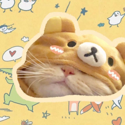 两只猫咪情侣头像
