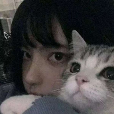 漂亮好看ins抱猫的女生头像图片