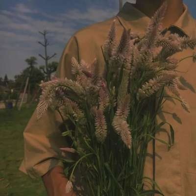 高清文艺干净男生手拿花头像图片