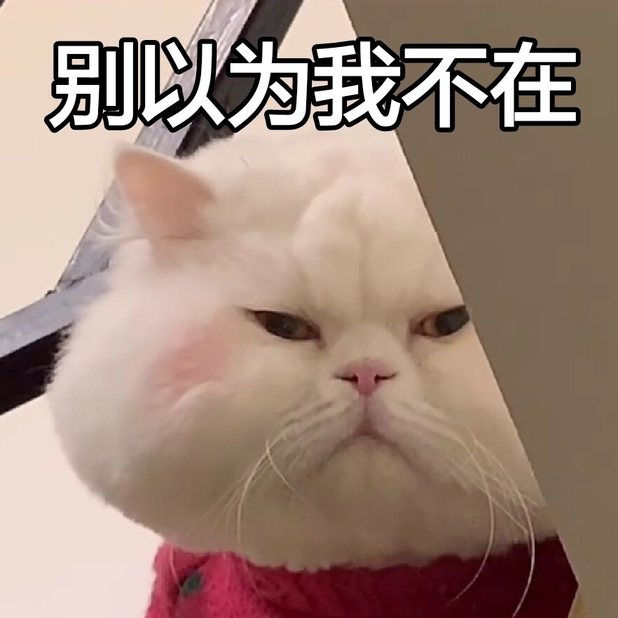 高清呆萌可爱的憨憨沙雕头像图片
