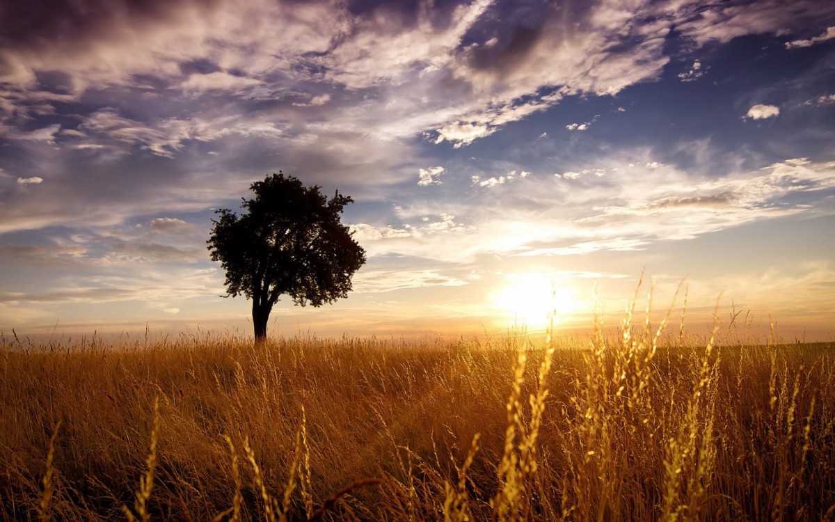 好看的风景图片大全(7/14)