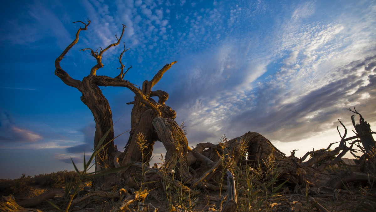原图你的电脑分辨率(1600x1600)→生成壁纸显示:√欣赏模式全屏模式