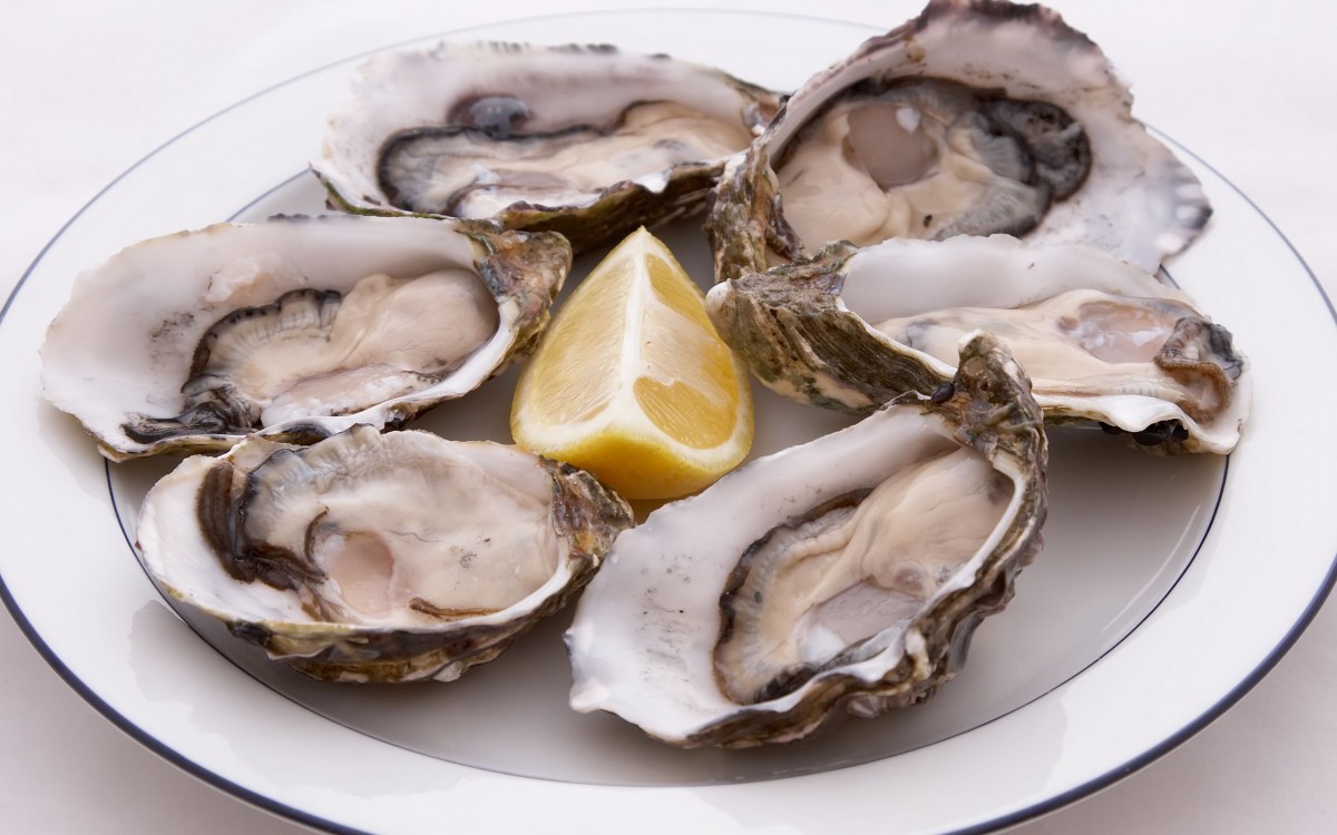 海鲜生蚝牡蛎图片-美食壁纸-高清美食图片-第9图-娟娟壁纸