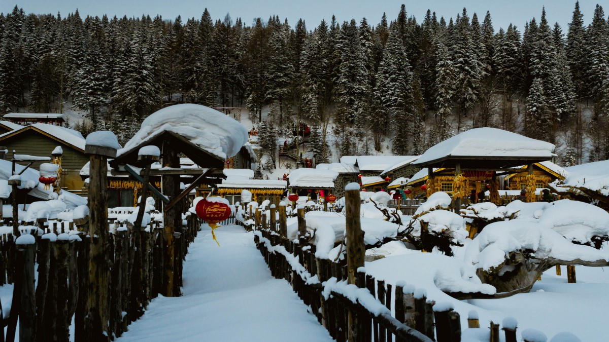 哈尔滨雪乡风景壁纸-风景壁纸-高清风景图片-第14图-娟娟壁纸