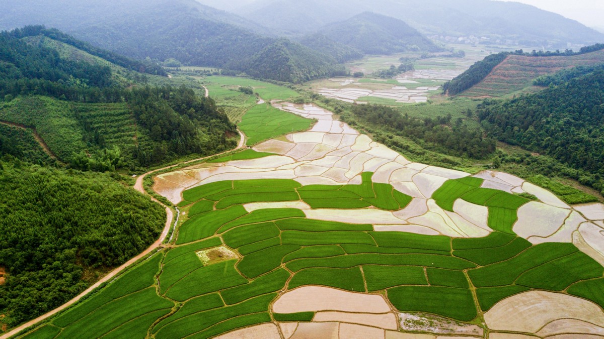 航拍田野风景图片壁纸-风景壁纸-高清风景图片-第5图-娟娟壁纸