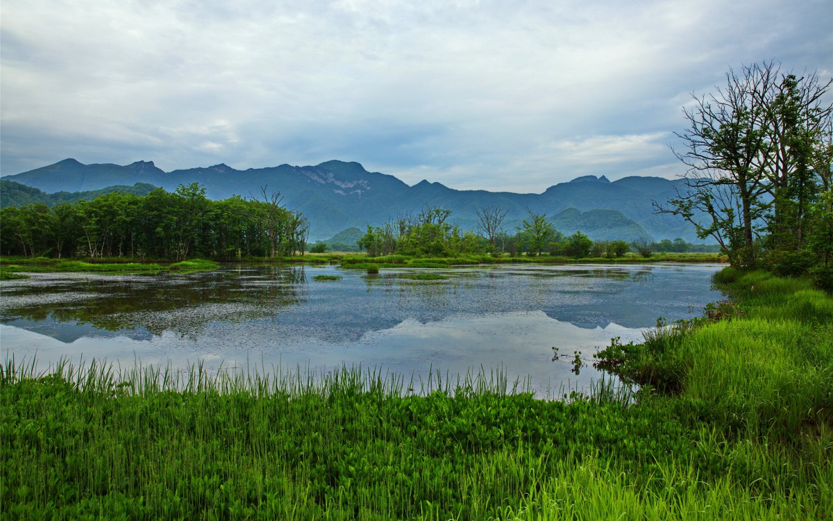 神農架大九湖國家溼地公園