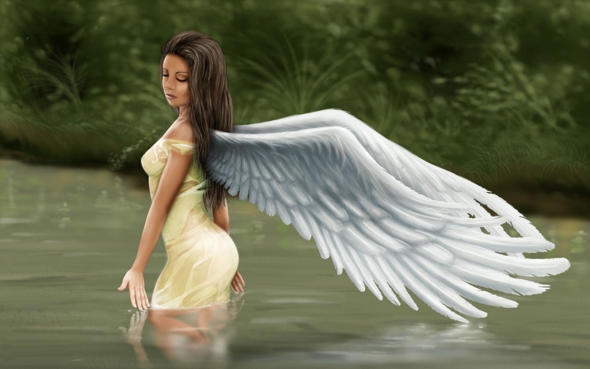 天使之翼漫画图片壁纸27