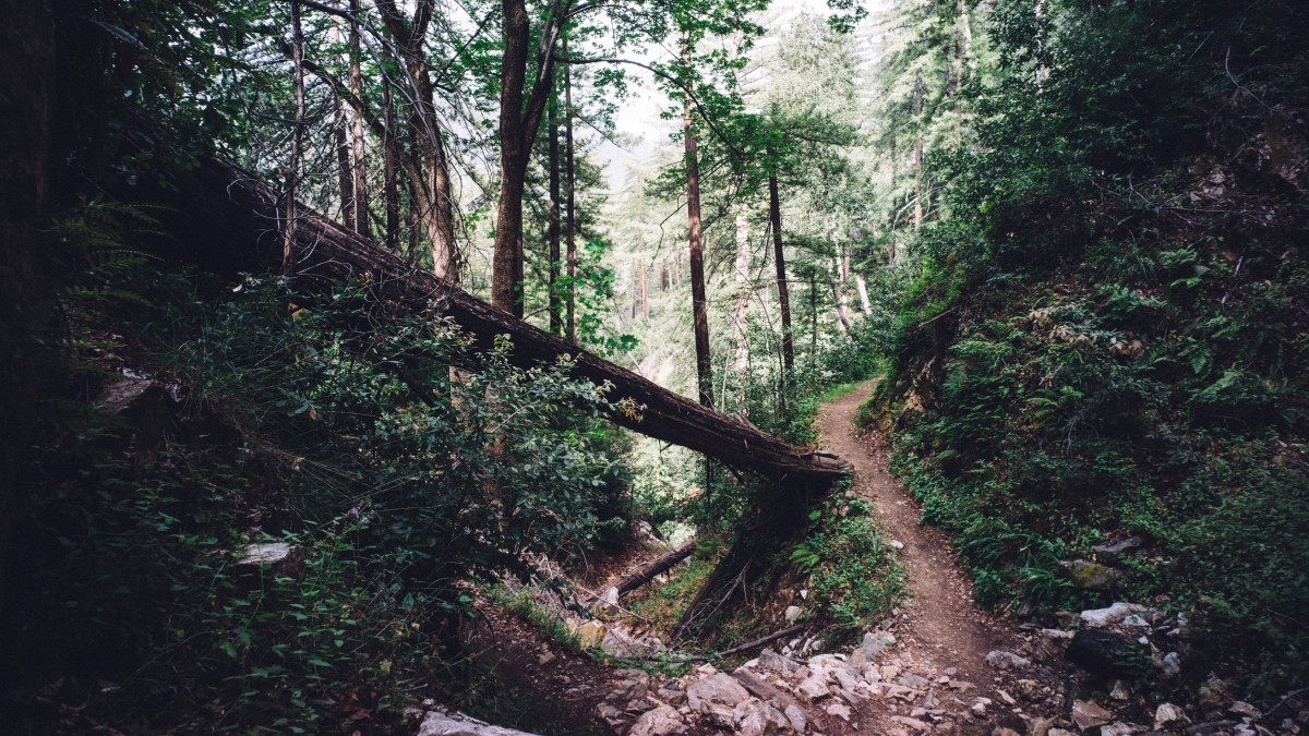 山林中的小路风景图片-风景壁纸-高清风景图片-第2图-娟娟壁纸